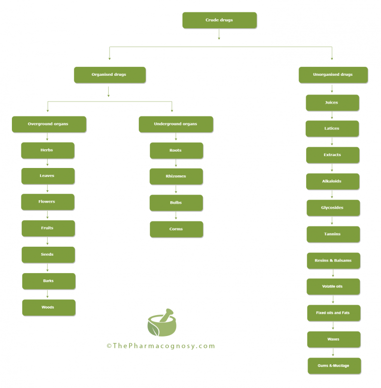 classification-of-crude-drugs-the-pharmacognosy