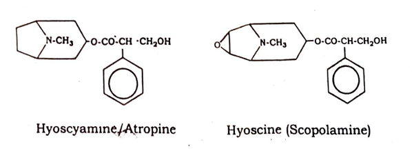Datura Stramonium Chemical Constituents