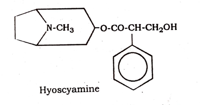 Belladonna Chemical constituents