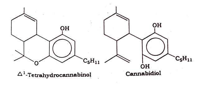 Cannabis Chemical constituents