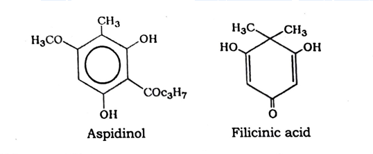 Aspidium Chemical constituents